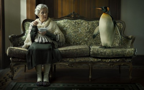 grandmother-penguin-sofa-funny-creative-wallpapers-1680x1050