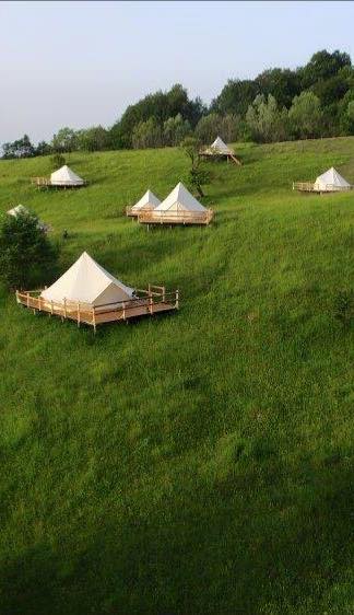 În România deschis primul camping de lux: Ursa Mică Glamping Resort - Fifi știe!